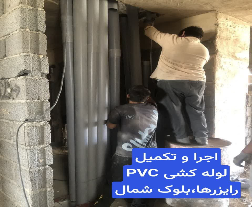 پروژه فرهنگ 11